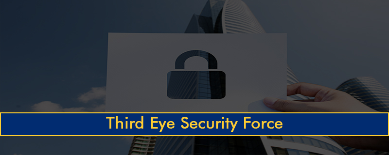Third Eye Security Force 